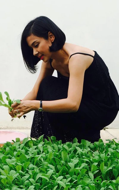 Biệt thự nhà vườn ngập hoa quả của diễn viên Việt Trinh ảnh 12