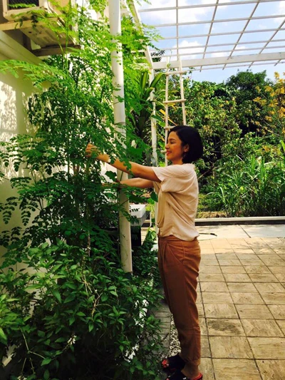 Biệt thự nhà vườn ngập hoa quả của diễn viên Việt Trinh ảnh 15