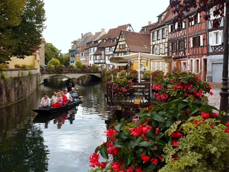 Ngất ngây với những ngôi nhà phủ hoa đầy lối đi ảnh 6