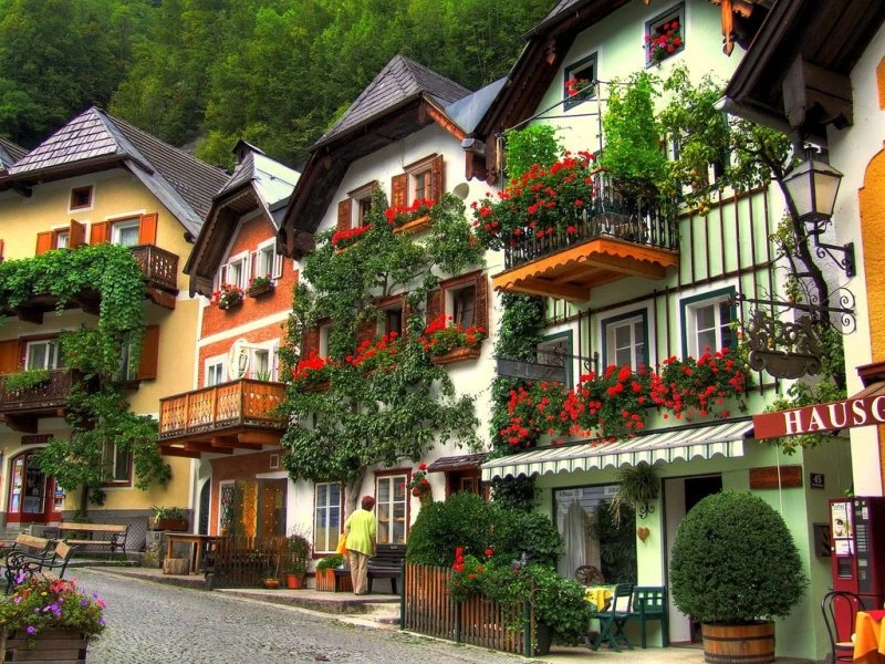 Ngất ngây với những ngôi nhà phủ hoa đầy lối đi ảnh 3