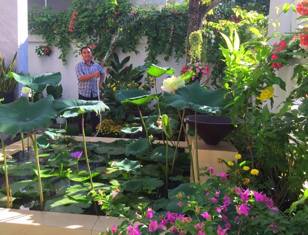 Vườn rau sạch trong ngôi nhà triệu đô của sao Việt ảnh 21