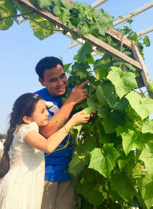 Vườn rau sạch trong ngôi nhà triệu đô của sao Việt ảnh 25