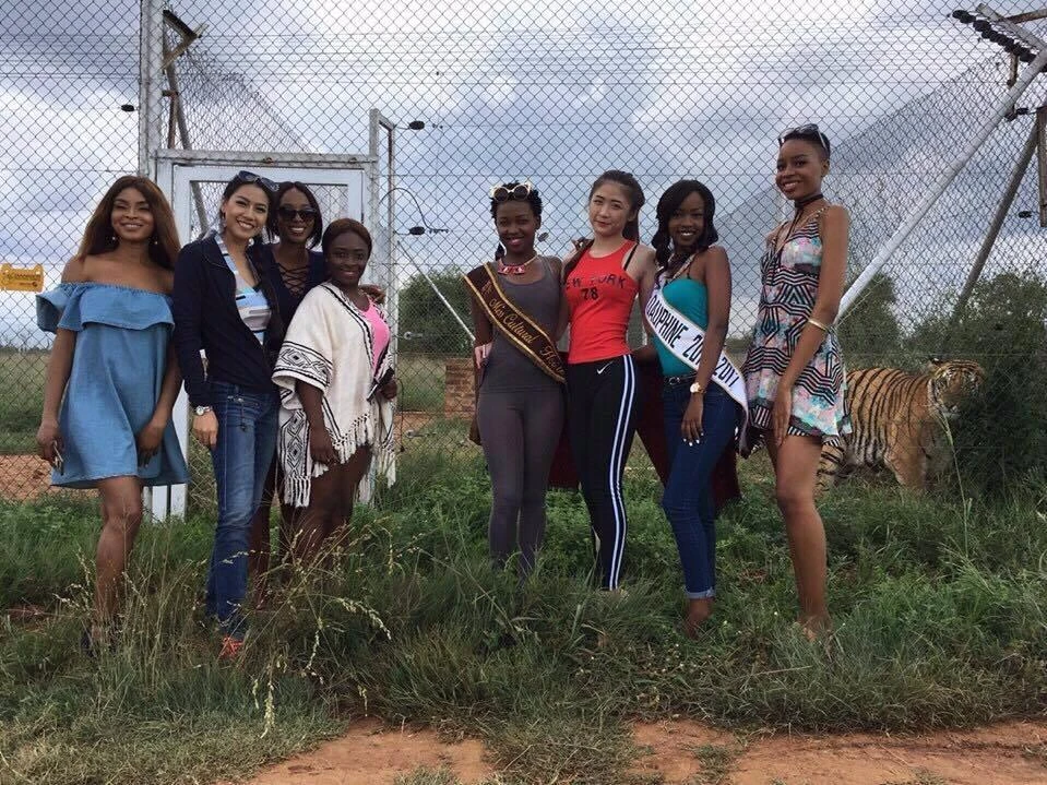 các người đẹp ở nam phi