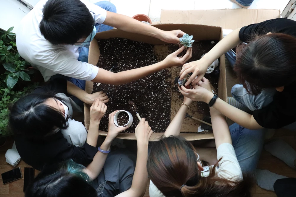 Sau khi đổi pin và chọn được cây xanh yêu thích, người tham gia sẽ được các tình nguyện viên hỗ trợ trồng cây vào chậu.