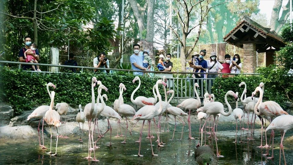 Lễ 2-9, người dân vui chơi ở đâu tại TP.HCM? ảnh 1