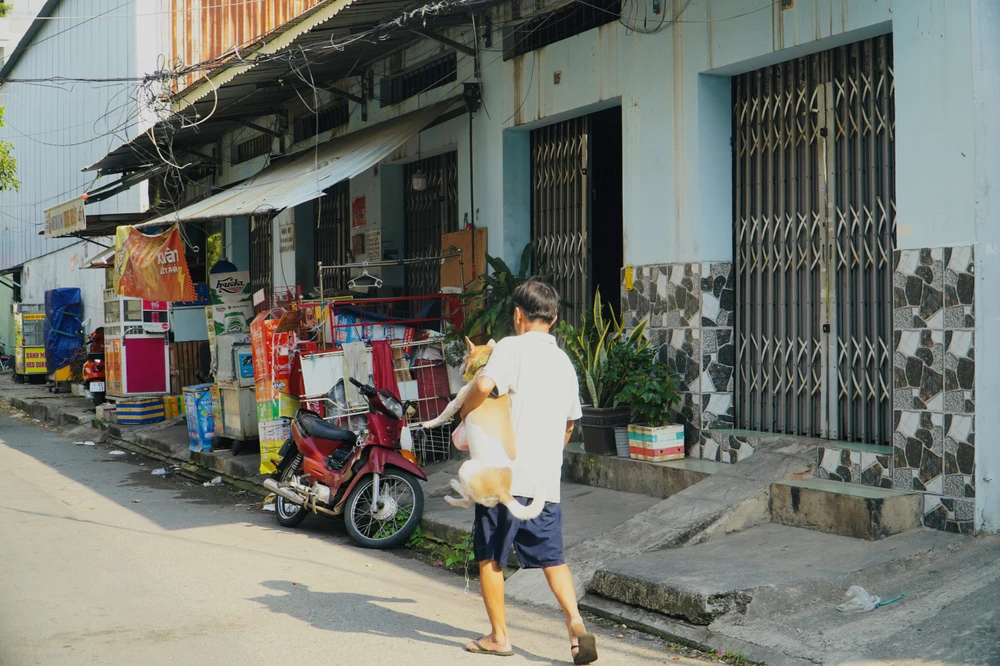 Một người đàn ông để chó không rọ mõm chạy ra đường, khi thấy đội bắt chó đang tiến đến mới nhanh chóng bế con chó của mình đi vào nhà. Ảnh: HUỲNH THƠ Một người đàn ông để chó không rọ mõm chạy ra đường, khi thấy đội bắt chó đang tiến đến mới nhanh chóng bế con chó của mình đi vào nhà. Ảnh: HUỲNH THƠ