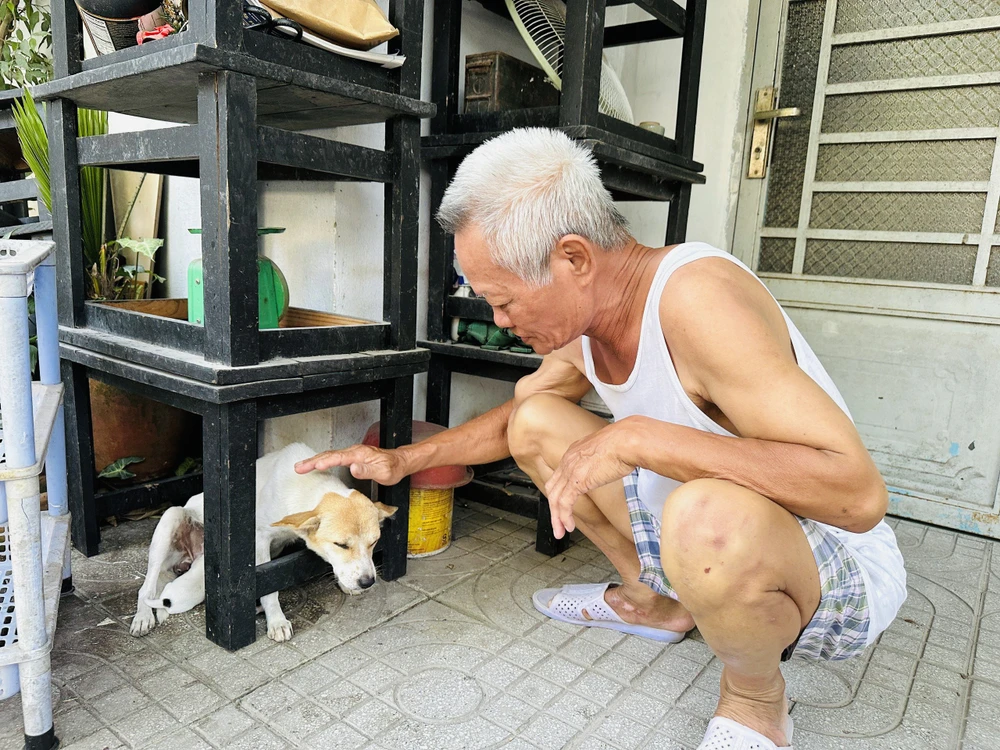 Ông Nguyễn Đình Tất, người dân sống tại phường Hiệp Bình Chánh, TP Thủ Đức, cho biết: "Tôi rất ủng hộ đội bắt chó thả rông của phường, để người ta mới thấy được thực tế, không dám để chó đi lung tung gây ảnh hưởng đến người khác". Ảnh: HUỲNH THƠ Ông Nguyễn Đình Tất, người dân sống tại phường Hiệp Bình Chánh, TP Thủ Đức, cho biết: "Tôi rất ủng hộ đội bắt chó thả rông của phường, để người ta mới thấy được thực tế, không dám để chó đi lung tung gây ảnh hưởng đến người khác". Ảnh: HUỲNH THƠ