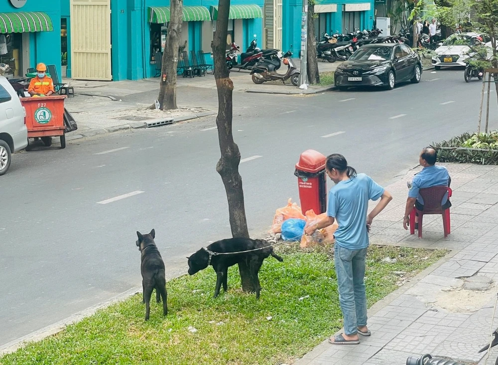 Không để chó chạy rông, khi đưa chó ra ngoài thực hiện nghiêm việc đeo rọ mõm và có người dắt... Ảnh: HUỲNH THƠ