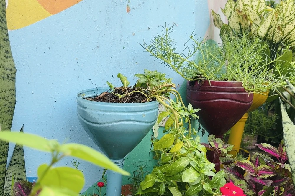 Chai nhựa cũ được thay thế thành bình hoa. Ảnh: HUỲNH THƠ