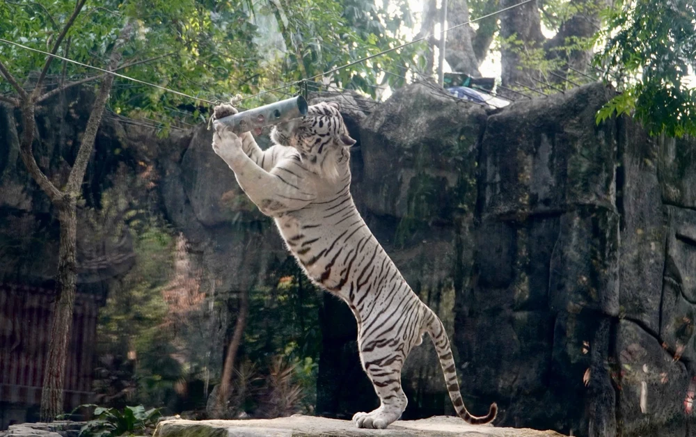 Thảo Cầm Viên.jpeg