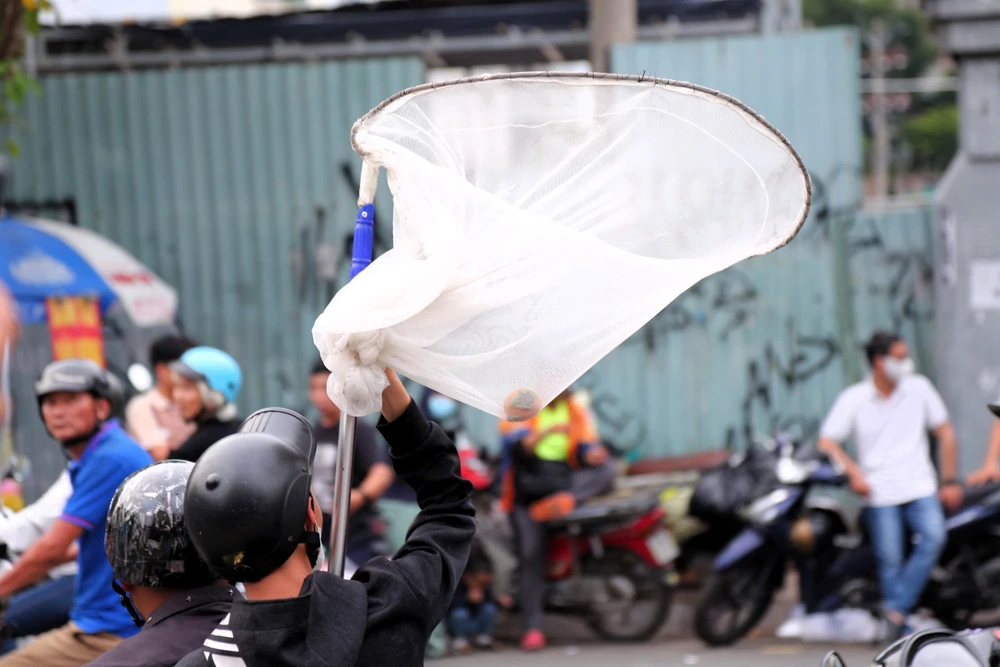 phong tục và pháp luật