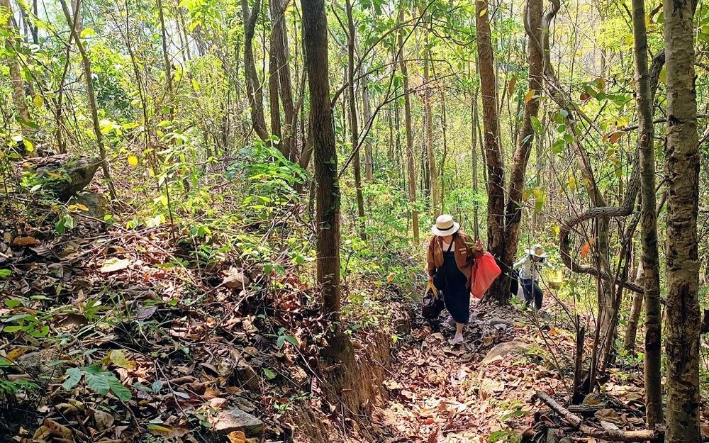 Đường lên thác nhiều đoạn phải leo dốc. Ảnh: NÚI XANH