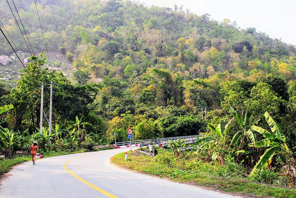 Bác Ái mùa xuân giống một bức tranh sơn dầu của Levitan hay Van Gogh. Ảnh: NÚI XANH