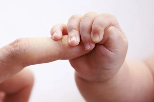 'Nếu thời gian quay ngược tôi sẽ không có con' ảnh 2