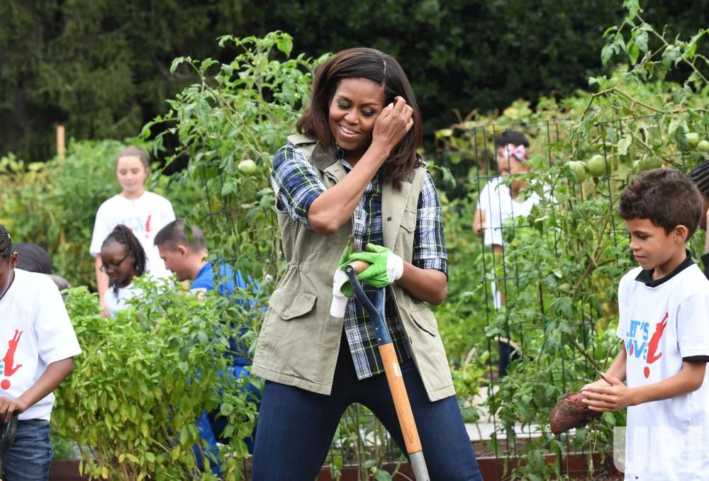 Đệ nhất phu nhân Michelle Obama nghỉ lấy hơi trong khi đào thu hoạch khoai tây với các học sinh. 