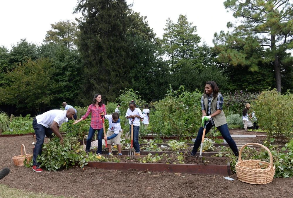 Cầu thủ bóng rổ giải nghệ Alonzo Mourning (trái) dùng tay nhổ khoai tây trong khi Đệ nhất phu nhân Michelle Obama phải dùng chĩa để đào đất.