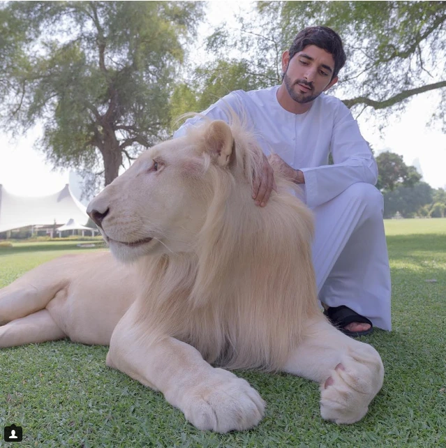 Hoàng tử Dubai Mohammed bin Rashid Al Maktoum và vật nuôi của mình. 