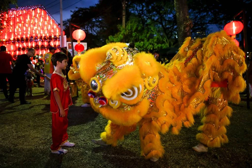 Cậu bé ngắm lân tại một công viên ở Bangkok (Thái Lan) trong đêm giao thừa, nhằm ngày 27-1. Ảnh: EPA