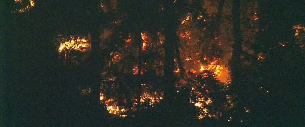 Lửa bốc cháy khu vực chiếc máy bay Q400 rơi ở đảo Ketorn, bang Washington (Mỹ) cuối ngày 10-8. Ảnh: ABC NEWS