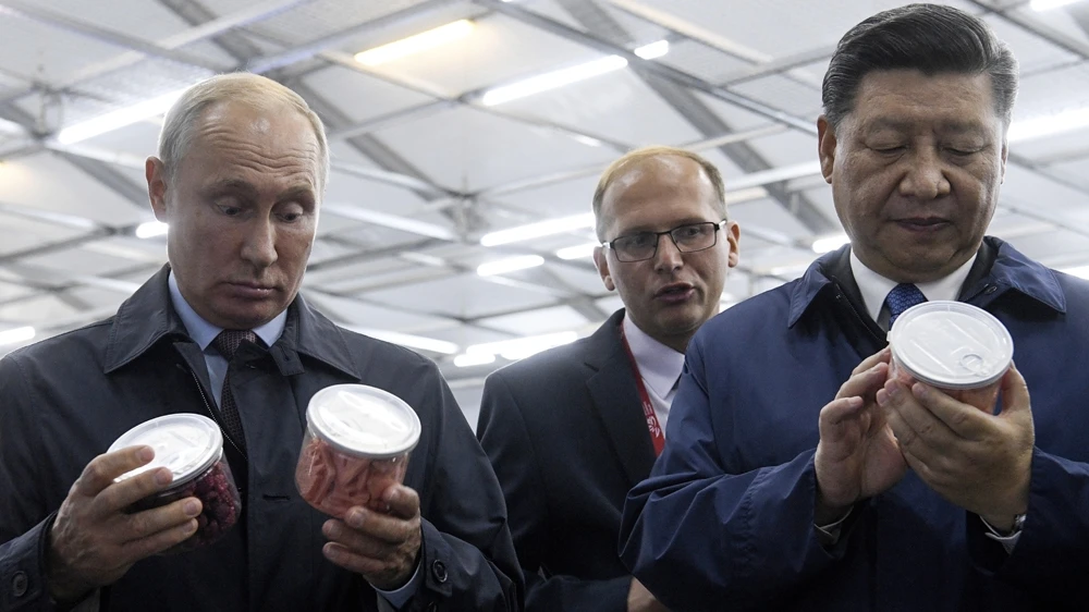 Tổng thống Nga Vladimir Putin và Chủ tịch Trung Quốc Tập Cận Bình cùng làm một loại bánh ngọt của Nga sau cuộc đối thoại tại Diễn đàn Kinh tế Phương Đông ở TP Vladivostok tỉnh Primorsky Krai (Nga) ngày 11-9. Ảnh: REUTERS