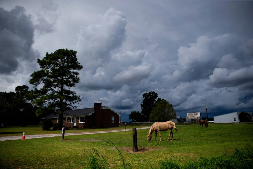 Mây vần vũ trên đầu một trang trại tại thị trấn Trenton, hạt Jones, bang North Carolina ngày 11-9. Ảnh: NEW YORK TIMES