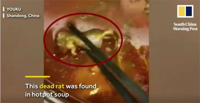 Hình ảnh xác con chuột trong nồi lẩu. Ảnh: SCMP