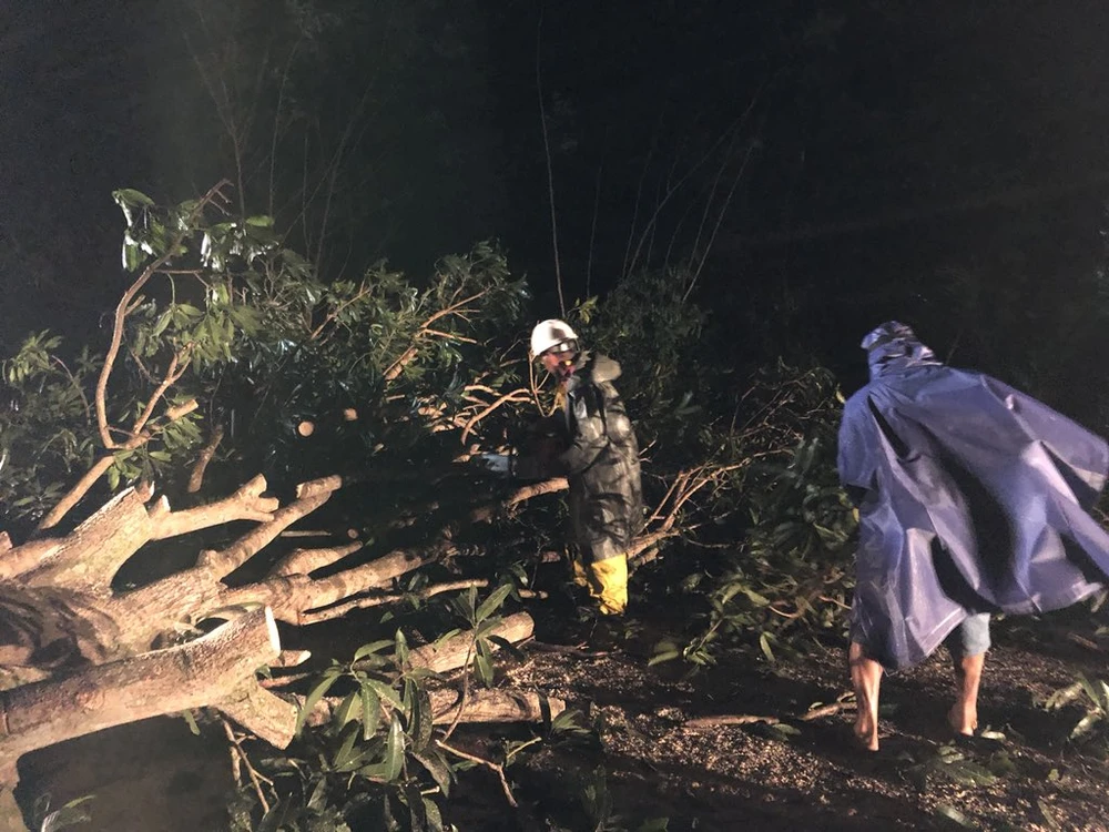 Cây gãy đổ ở đảo Luzon khi bão Mangkhut tiến vào mờ sáng nay. Ảnh: TWITTER