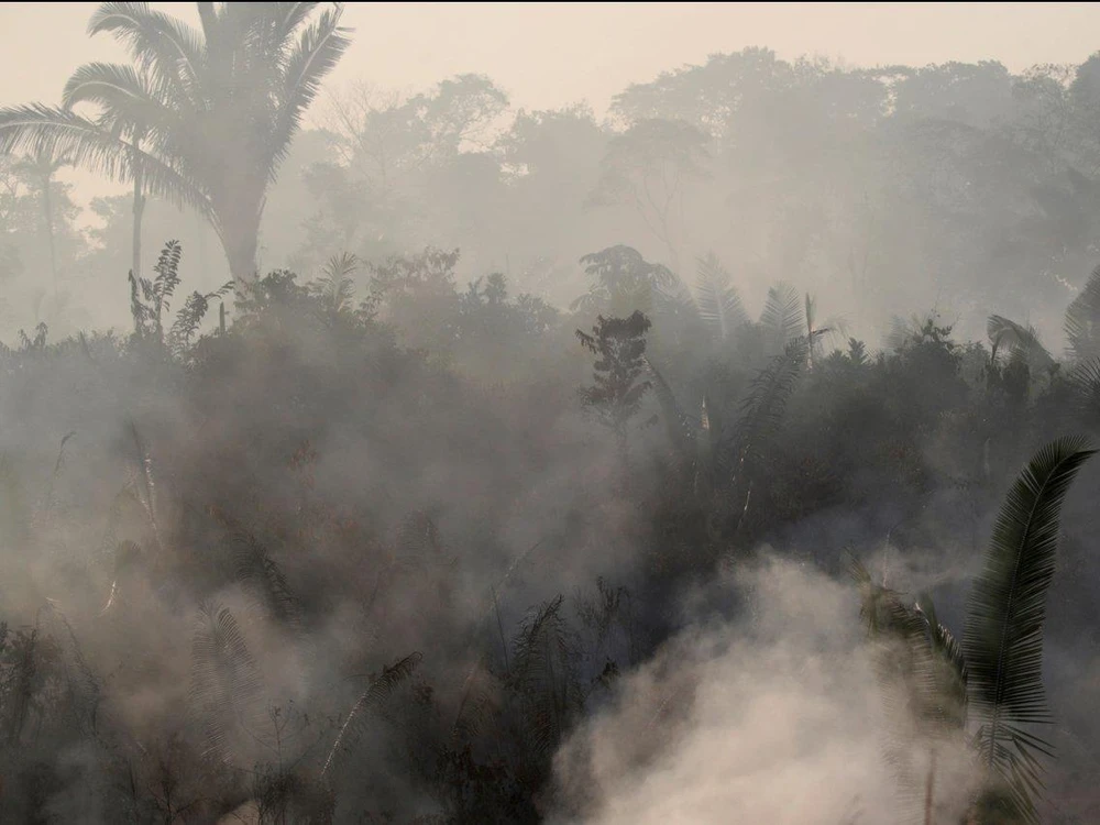 Khói từ cháy rừng Amazon. Ảnh: REUTERS