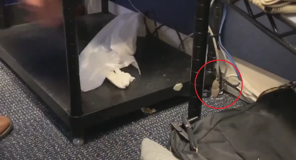 Vị khách không mời đã rơi thẳng từ trên mái xuống phòng họp báo của Nhà Trắng ngày 1-10. Ảnh: AP