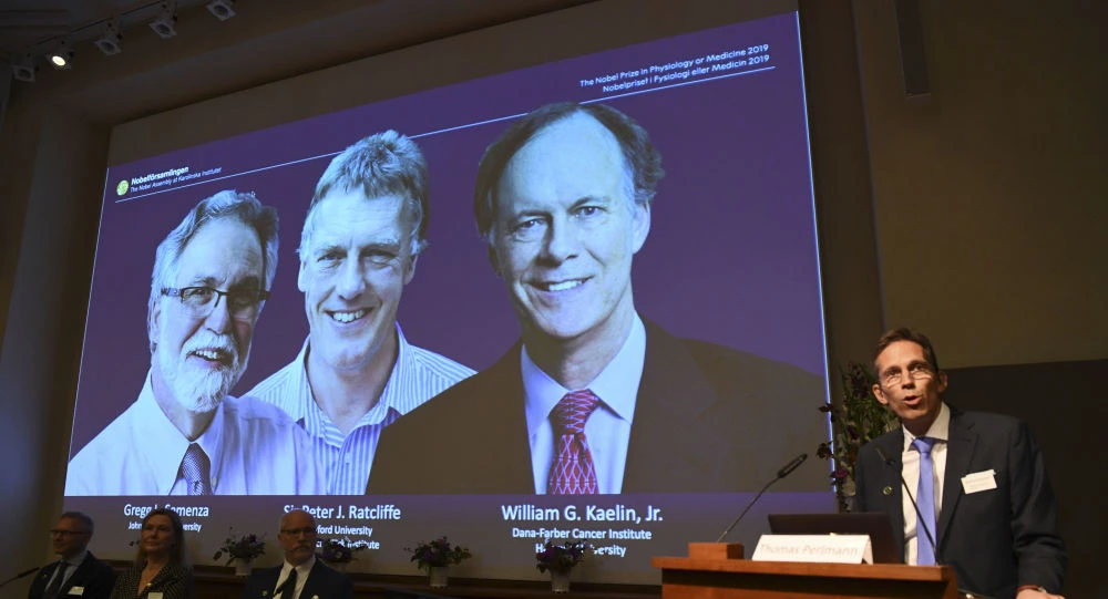 Hai nhà khoa học Mỹ và một nhà khoa học Anh được vinh danh đoạt giải Nobel Y học 2019 với phát hiện cách các tế bào cảm giác và thích nghị với oxy. Ảnh: SPUTNIK