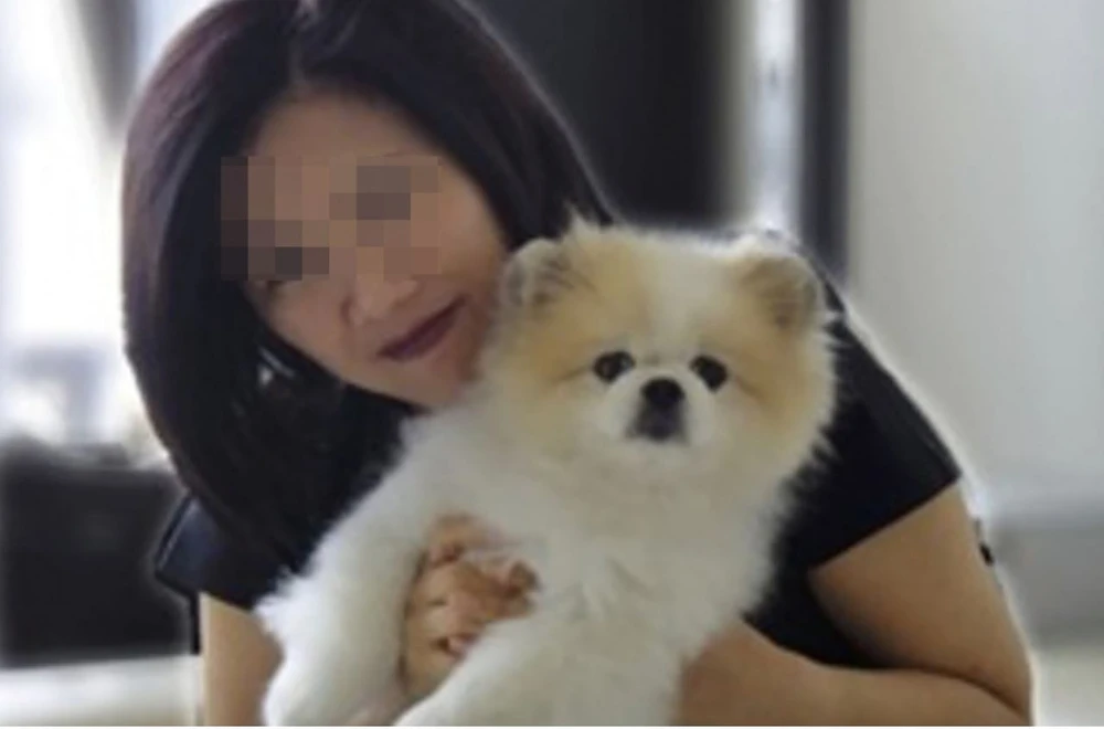 Tình hình dịch COVID-19 tính đến tối 29-2 ảnh 3