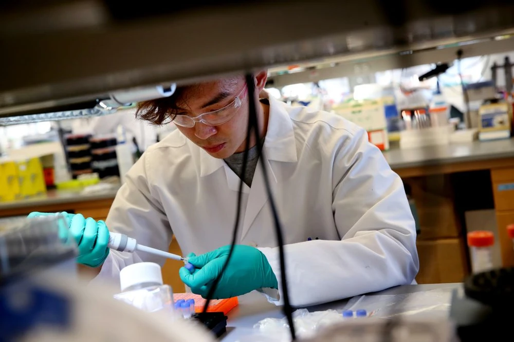 COVID-19: Mỹ khả năng lớn tháng tới có vaccine ảnh 1