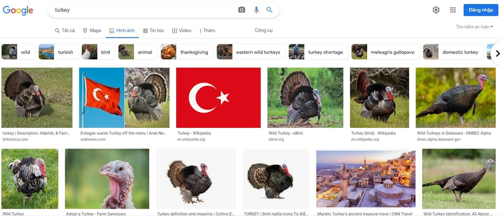 Tra từ Turkey trong trang tìm kiếm Google phần lớn cho ra hình ảnh con gà tây. Ảnh: GOOGLE