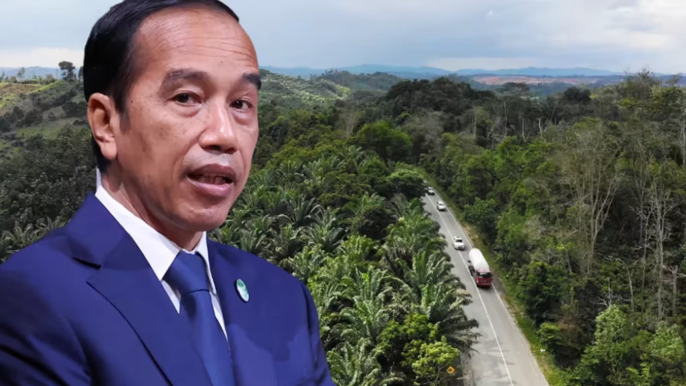 Dự án thủ đô mới Nusantara mà Tổng thống Joko Widodo đang tâm huyết thực hiện tọa lạc ở khu rừng nhiệt đới trên đảo Borneo, Dự án sẽ giúp giãn mật độ dân cư ở Jakarta, nơi đang có hơn 10 triệu người sinh sống và có nguy cơ 1/3 diện tích chìm dưới nước biển vào năm 2050. Ảnh: NIKKEI ASIA / REUTERS