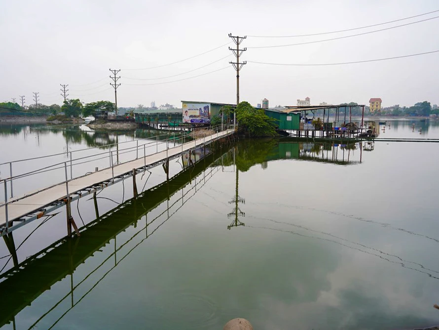 Chủ tịch Hải Phòng phê bình quận Ngô Quyền chậm giải phóng mặt bằng ảnh 2