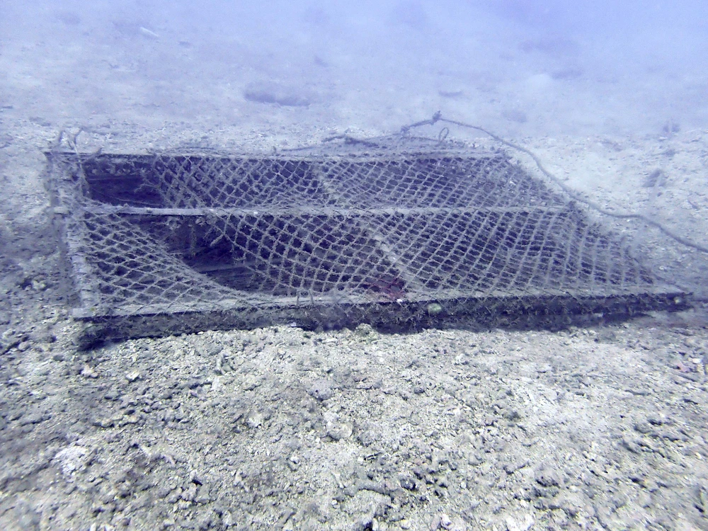 Bẫy cá sót lại dưới biển ở khu vực Hòn Mun. Ảnh: MK.