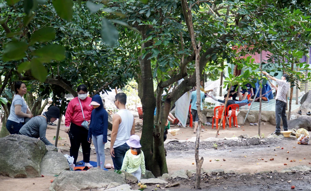 Dịp cuối tuần, các vườn trái cây ở Lâm Sơn đón khoảng 800 du khách. Ảnh: HH.