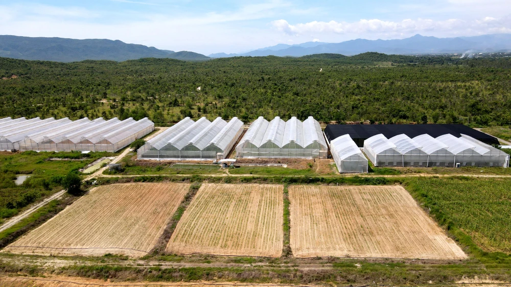 Hệ thống nhà màng trồng dưa lưới tại xã Phước Tiến, huyện Bác Ái. Ảnh: HH.