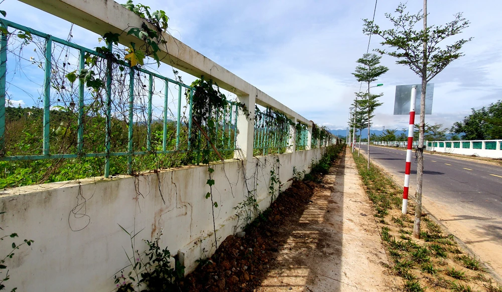 Cây dại leo kín các tường rào trong Cụm công nghiệp Sông Cầu. Bên trong cỏ mọc um tùm vì bị bỏ hoang quá lâu.