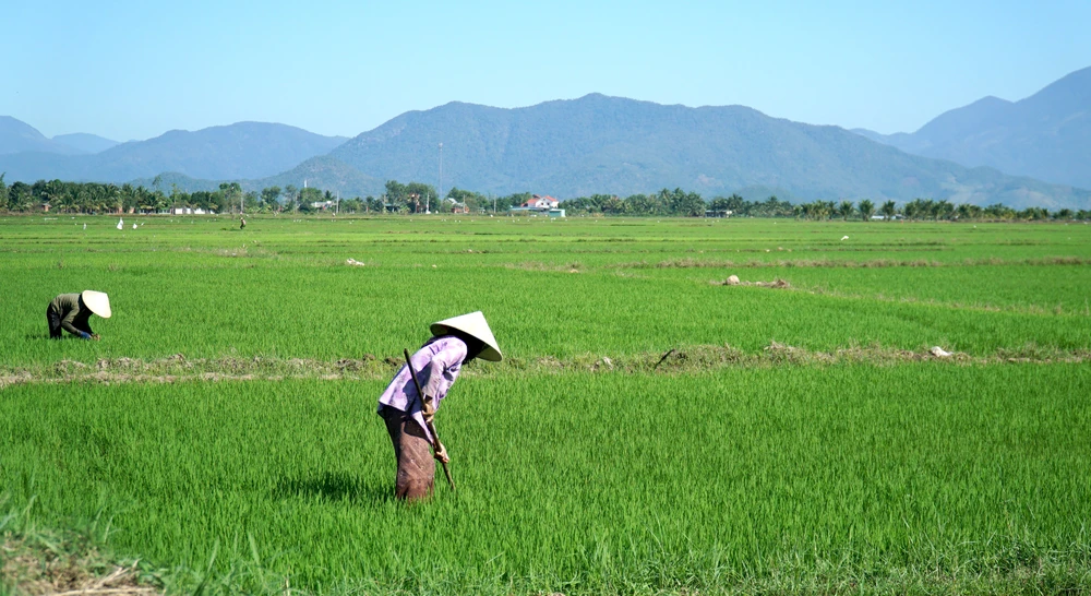 Ông Xưng cho biết quy hoạch thủy lợi tỉnh Ninh Thuận đến năm 2020, tầm nhìn đến năm 2030 thích ứng biến đổi khí hậu cũng đã đề xuất các giải pháp thủy lợi trên Sông Lu như xây dựng hồ chứa nước Phước Hà, Tân Giang 2 và xây dựng công trình kết nối liên thông cụm hồ Tân Giang – Phước Hà- Sông Biêu – Suối Lớn; xây dựng hồ chứa nước Ô Căm chuyển nước về suối Ngang lưu vực hồ Phước Trung và xây dựng kênh chuyển nước từ hồ Phước Trung về hồ Thành Sơn.... Bên cạnh đó, đầu tư xây dựng, nâng cấp cải tạo một số hệ thống thủy lợi hiện có để phấn đấu đến năm 2030 đảm bảo lượng nước cấp của các công trình thủy lợi cho các ngành kinh tế toàn tỉnh là 1.427 triệu m3 nước.