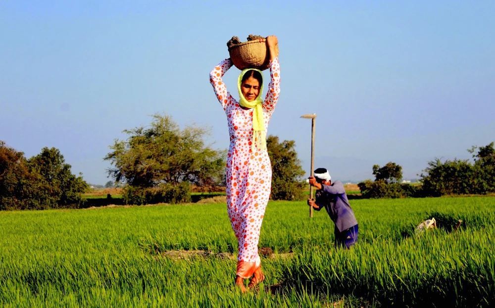 Đồng Hanu Nulanh được người dân ví như đồng Thạch Sanh. Đồng Hanu Nulanh được người dân ví như đồng Thạch Sanh.