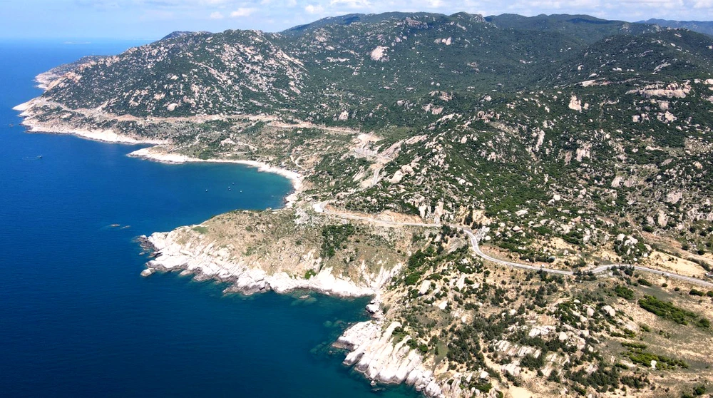 Khu vực Bãi Đá Trứng có 6 hộ ủi chiếm 45 ha. Ảnh: H.H