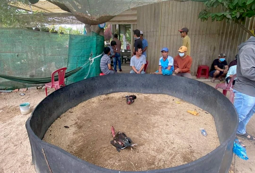 Tụ điểm đá gà tại thôn Thiện Đức, xã Phước Dinh bị triệt xóa. Ảnh: C.A