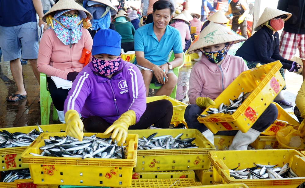 Những ngày giữa tháng 8-2023, cảng cá Phú Lạc, xã Hòa Hiệp Nam, thị xã Đông Hòa, rộn ràng cảnh mua bán hải sản.
