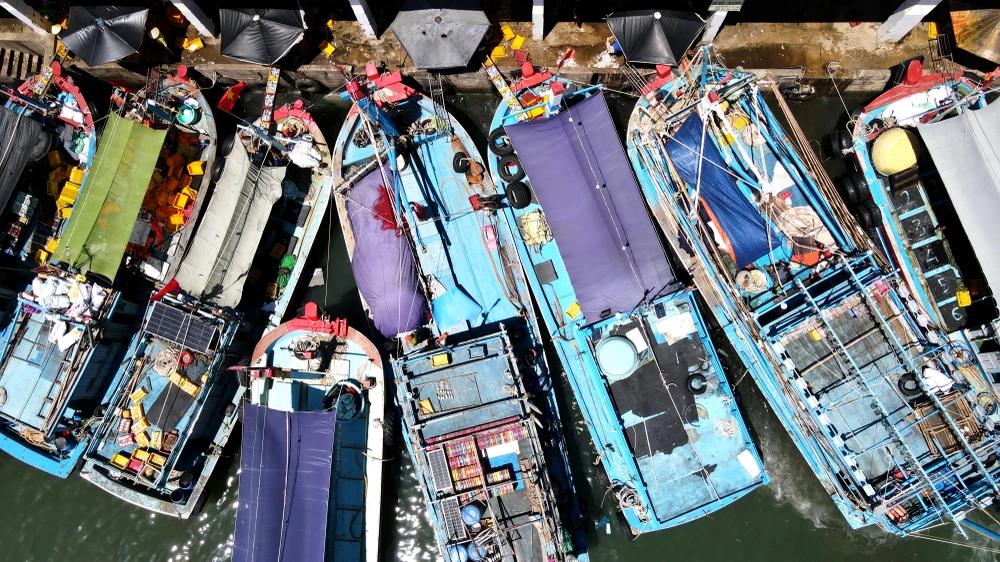 Hàng chục tàu cá Phú Yên, Bình Định đậu san sát để bán cá cho các thương lái. Ngư dân cho biết họ vừa trúng đàn cá nục.