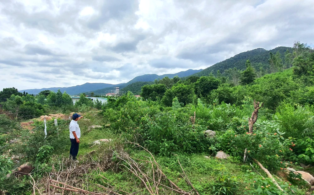 đường vận chuyển nông sản 1.jpg