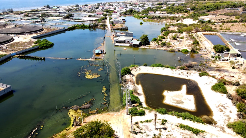 đìa thủy sản xả thải.jpg