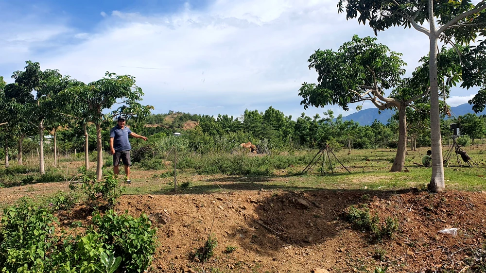 bản án hành chính.jpg
