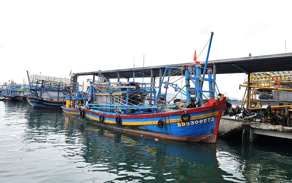 Bình Định tiếp tục nỗ lực gỡ cảnh báo thẻ vàng EC