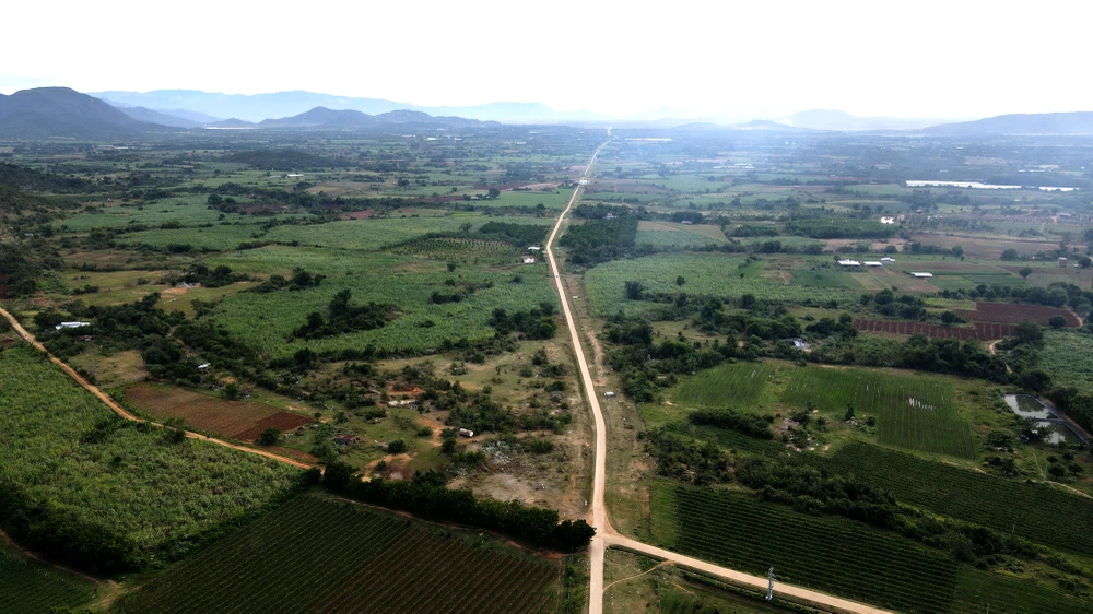 vùng trồng mía 1.jpg